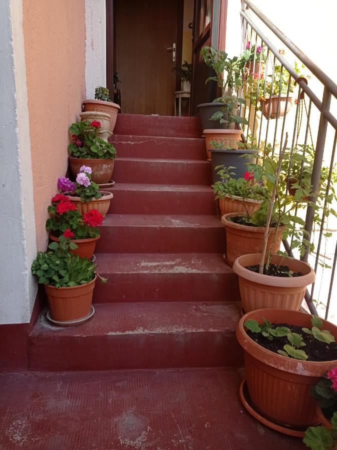 Alina Centar Apartment Novigrad Istria